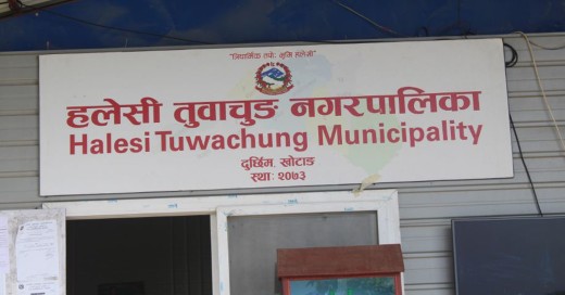 हलेसी तुवाचुङ नगरपालिका : मुरी फलाउनेलाई ५०० पुरस्कार, बंगुर र बाख्रा पाल्नेलाई अनुदानको वर्षा 