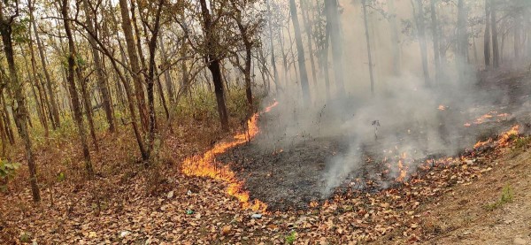 डढेलो नियन्त्रण अभियानः चुरोटको ठूटो हेर्न सिसी क्यामेरा !