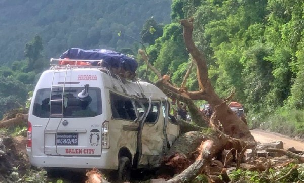 गुडिरहेको माइक्रोबसलाई रुखले किचेपछि‍‍...