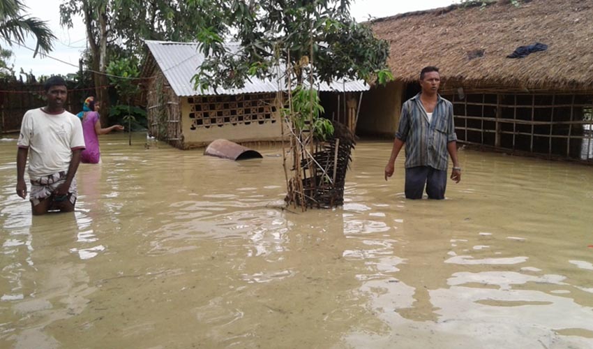 विपद्मा सँगसँगै हिड्ने यस्तो छ बाँकेका ८ स्थानीय तहबीचको सहमति 