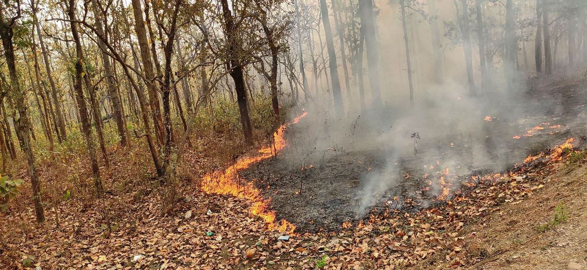 जनप्रतिनिधि र कर्मचारीले दिए आगलागीपीडितलाई एक दिनको तलब